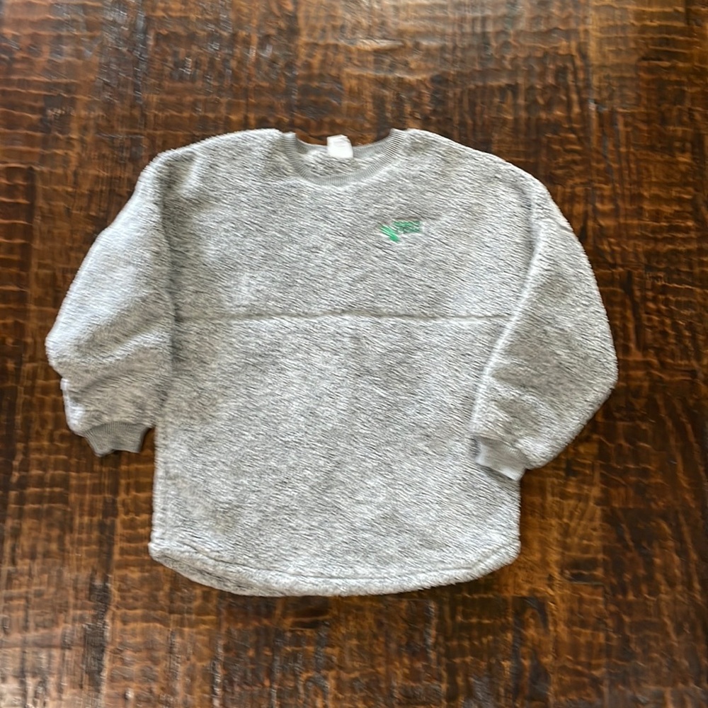 UNT - University of North Texas Spirit Jersey Gray fluffy sweatshirt.